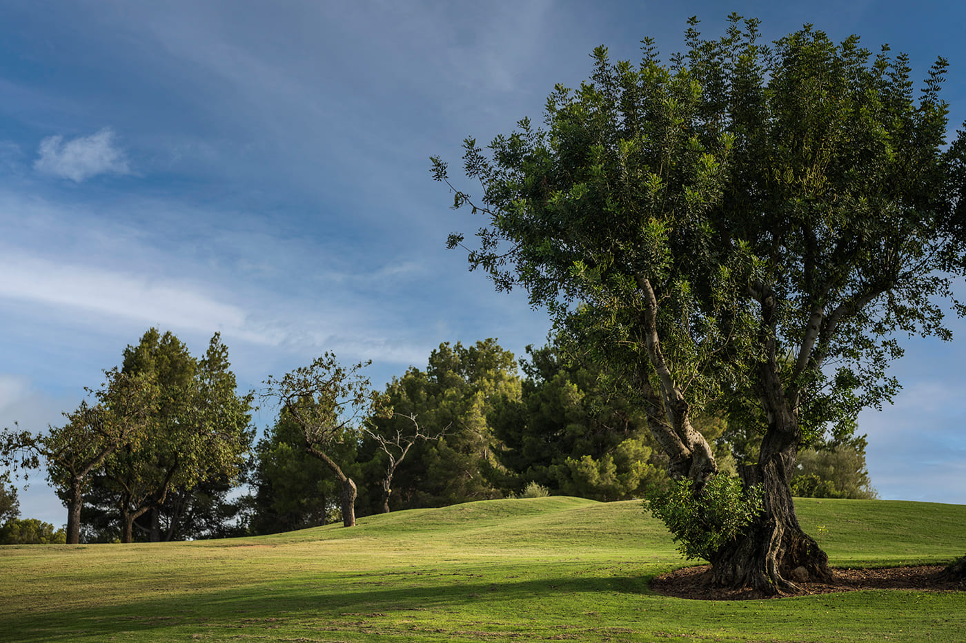 Son Quint Hole 18