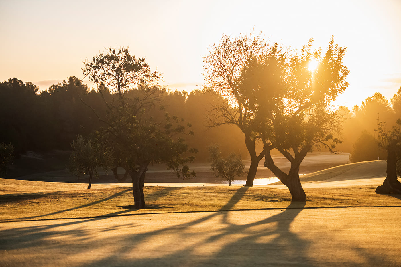 Son Quint Hole 2