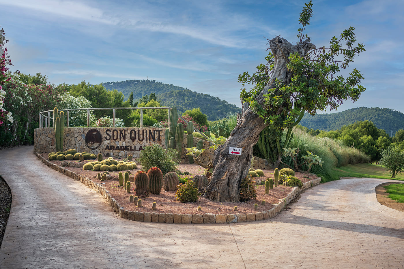Son Quint Hole 22