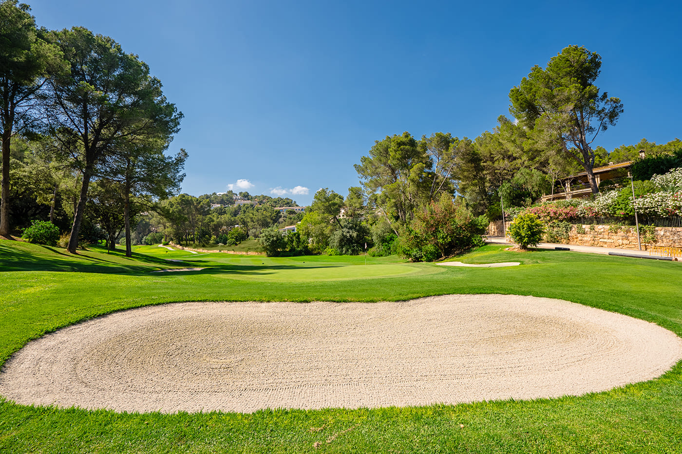 Son Vida Hole 14