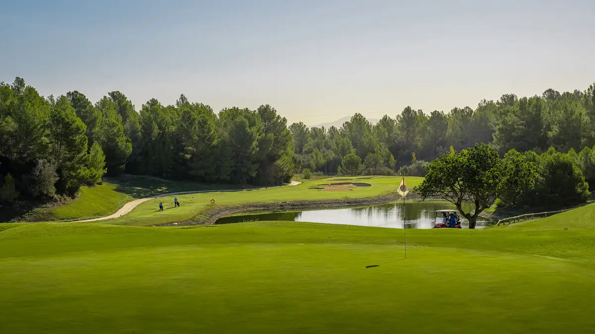 Golf Son Quint fairway